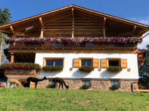 B&B Belvedere